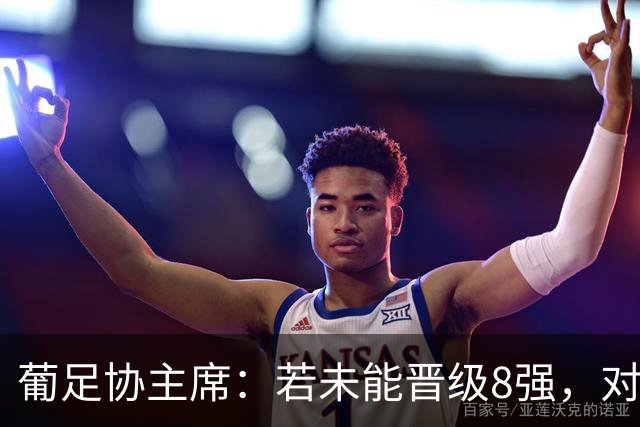 葡足协主席：若未能晋级8强，对葡萄牙来说将是糟糕的世界杯之旅